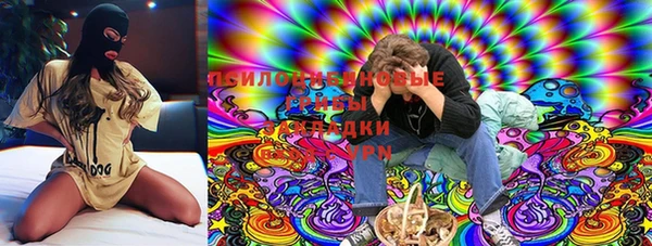 spice Абаза
