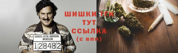 прущие грибы Переславль-Залесский
