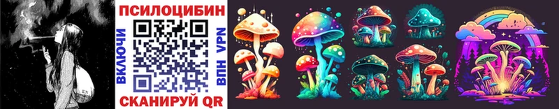 даркнет телеграм Курск Псилоцибиновые грибы Psilocybe