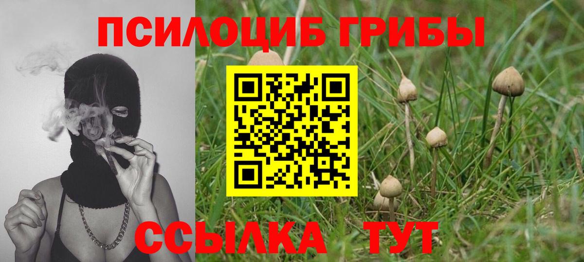 Курск  Галлюциногенные грибы мицелий  Вход с VPN 