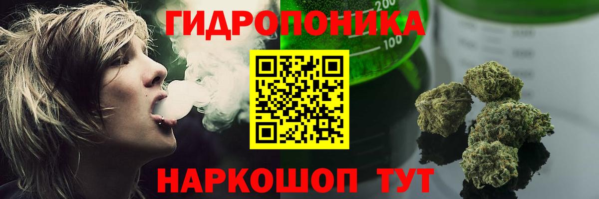 Бошки марихуана сатива Курск